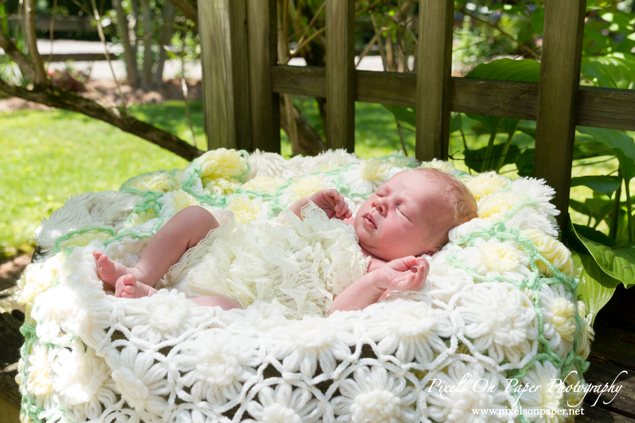 Pixels On Paper Wilkesboro NC Newborn Photographers Baby Aryan photo