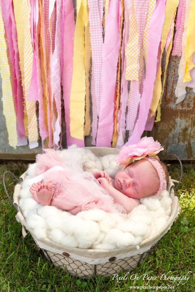 Pixels On Paper Wilkesboro NC Newborn Photographers Baby Aryan photo