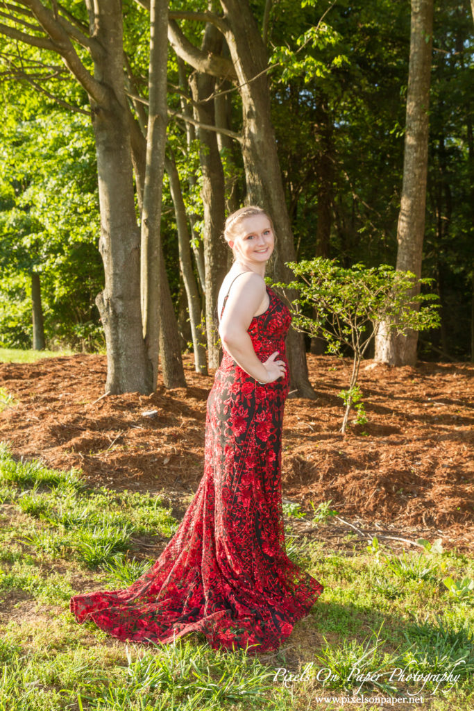 Pixels On Paper Photographers Wilkesboro NC 2020 Senior Prom Portrait Photography photo