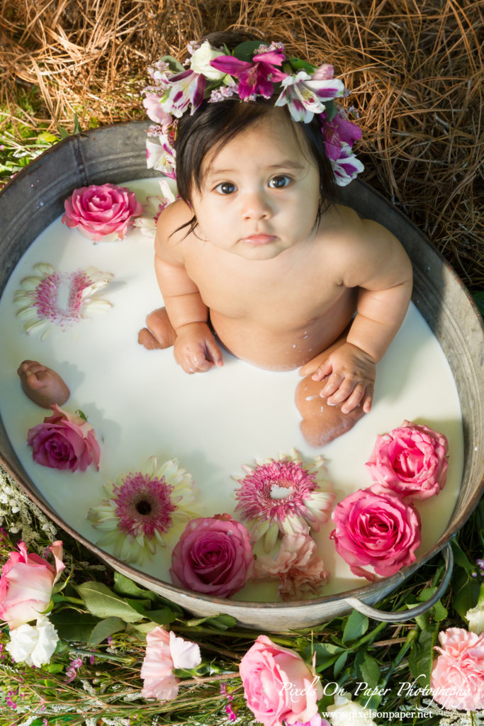Pixels On Paper Photographers Sofia Six Month Milk Bath Baby Portrait Photo