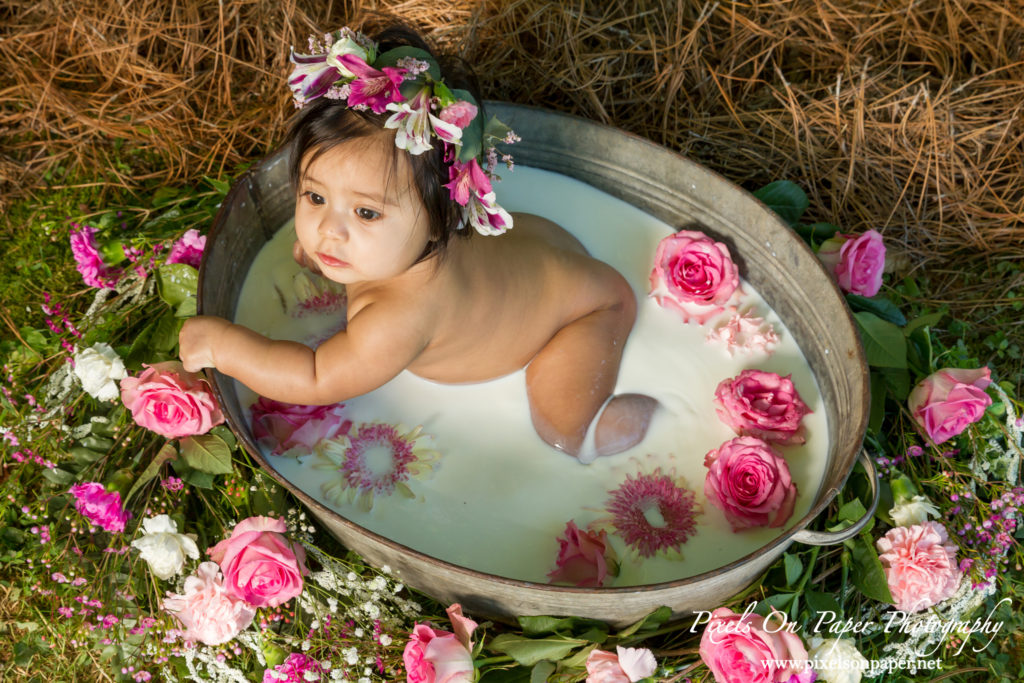 Pixels On Paper Photographers Sofia Six Month Milk Bath Baby Portrait Photo