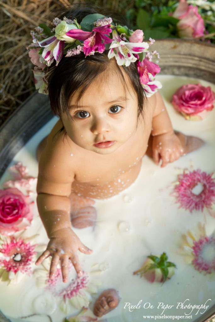 Pixels On Paper Photographers Sofia Six Month Milk Bath Baby Portrait Photo