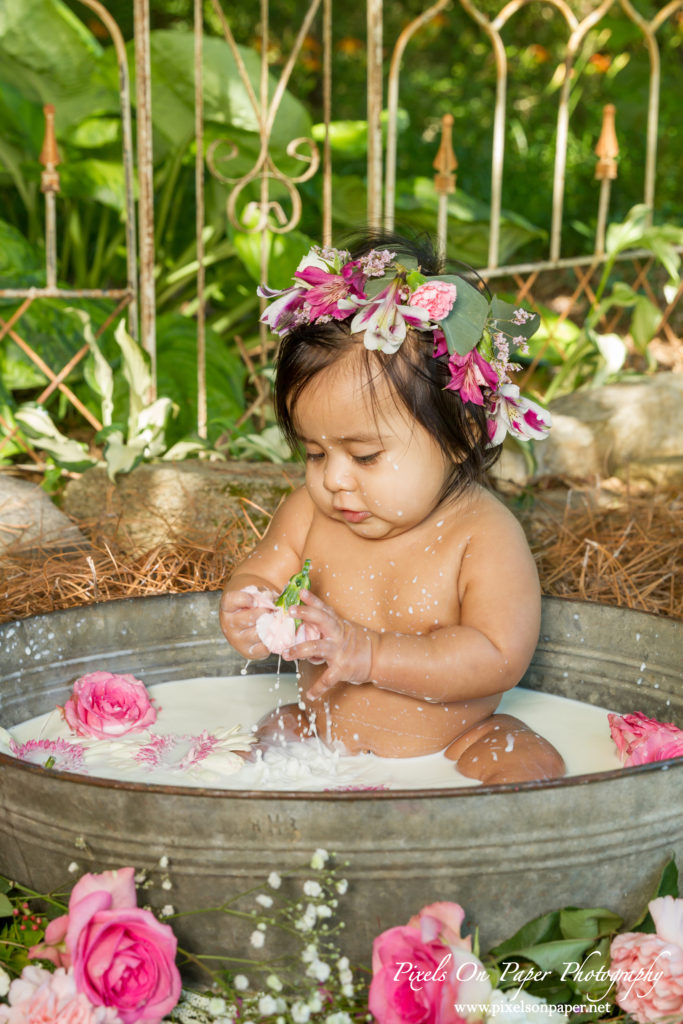 Pixels On Paper Photographers Sofia Six Month Milk Bath Baby Portrait Photo