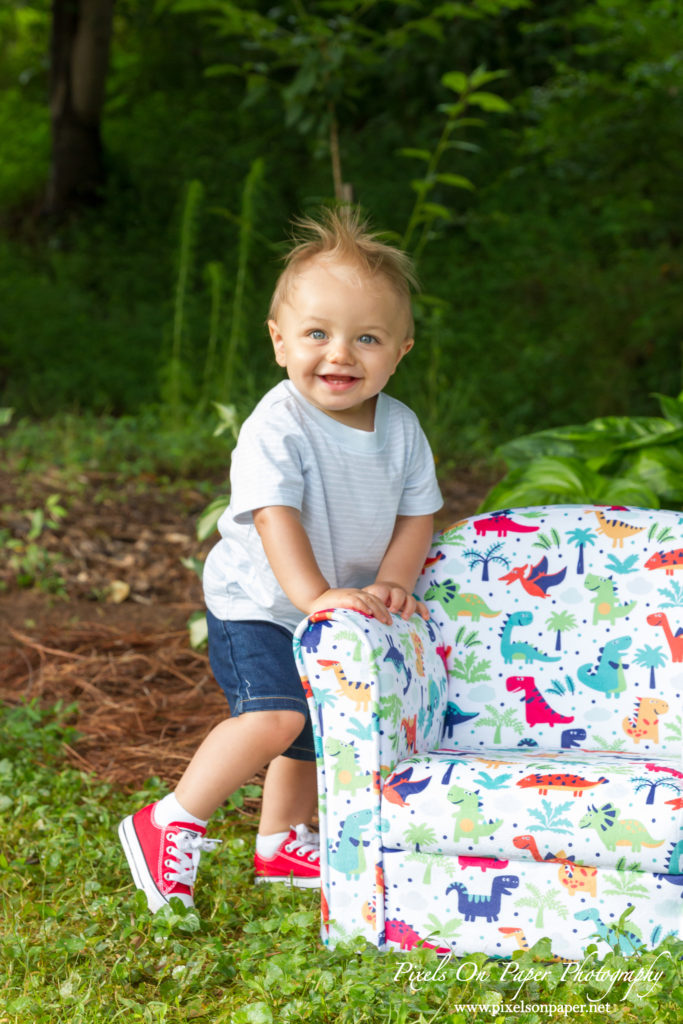 pixels on paper Wilkesboro NC photgraphers Becerra baby one year dinosaur cake smash outdoor portrait photo