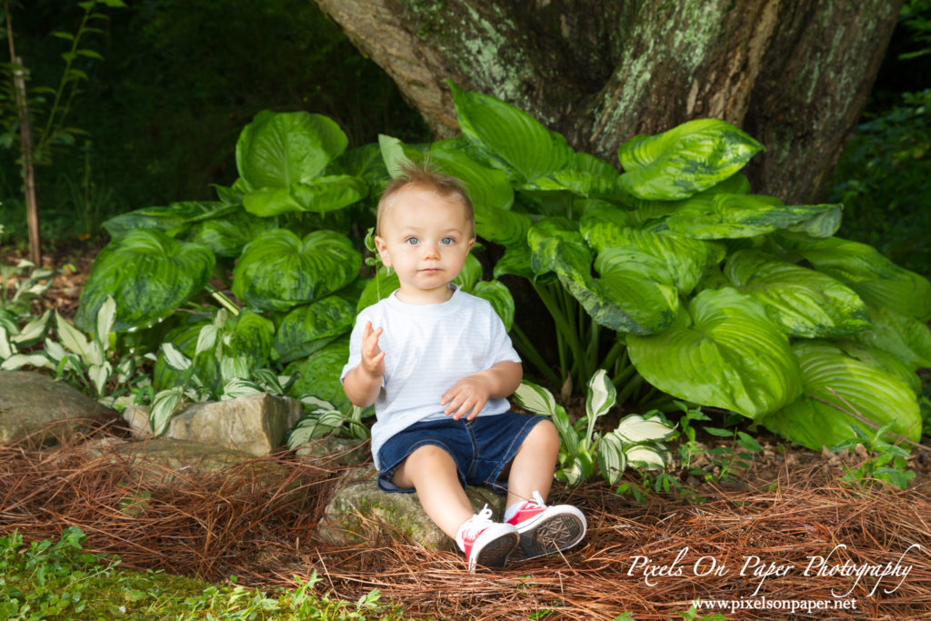 pixels on paper Wilkesboro NC photgraphers Becerra baby one year dinosaur cake smash outdoor portrait photo