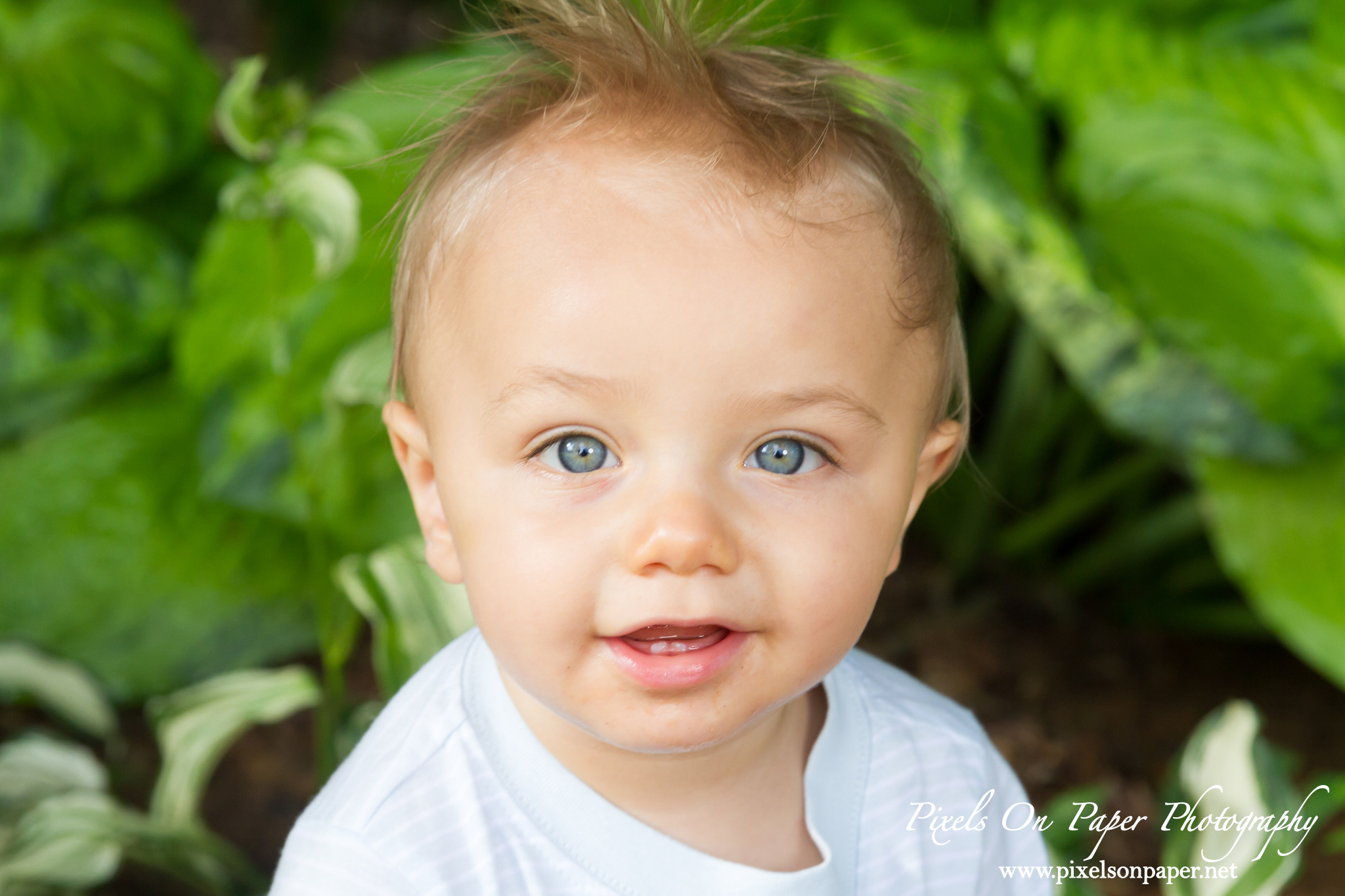 pixels on paper Wilkesboro NC photgraphers Becerra baby one year dinosaur cake smash outdoor portrait photo