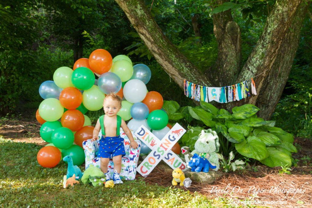 pixels on paper Wilkesboro NC photgraphers Becerra baby one year dinosaur cake smash outdoor portrait photo