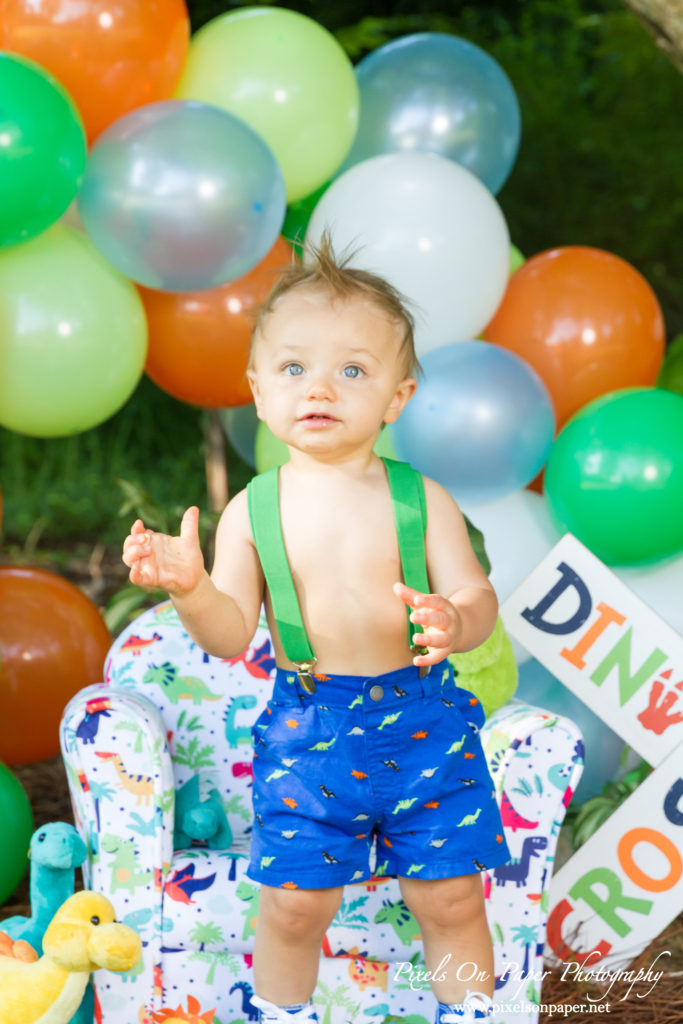 pixels on paper Wilkesboro NC photgraphers Becerra baby one year dinosaur cake smash outdoor portrait photo