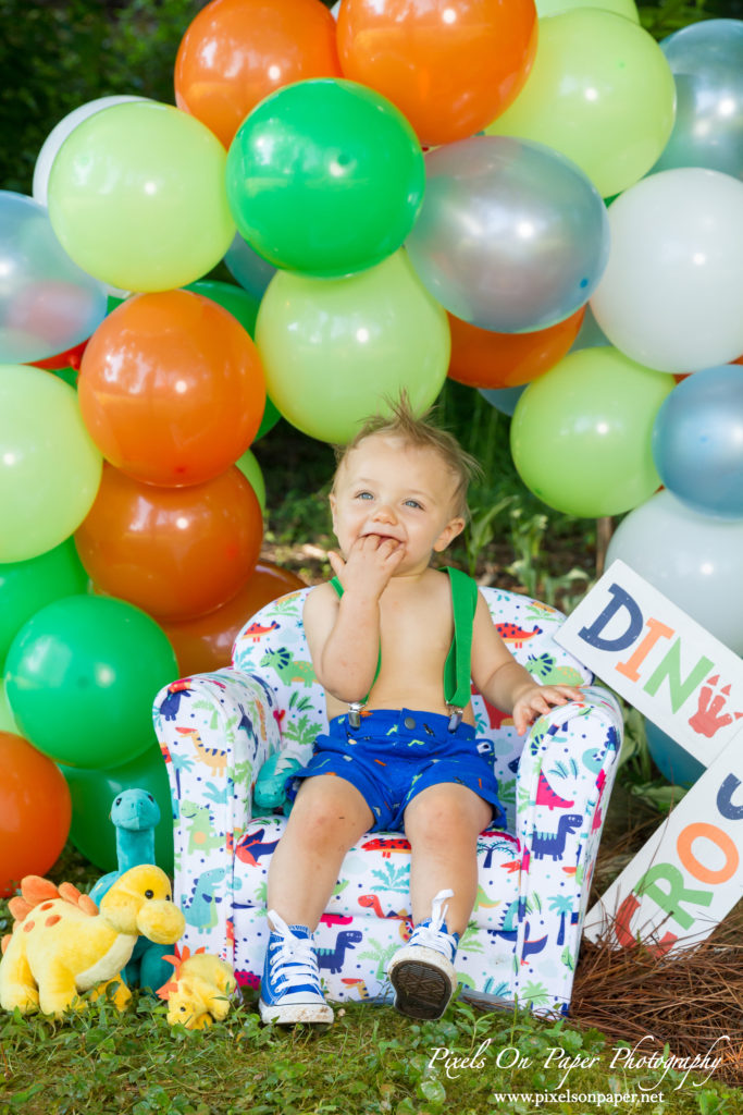 pixels on paper Wilkesboro NC photgraphers Becerra baby one year dinosaur cake smash outdoor portrait photo