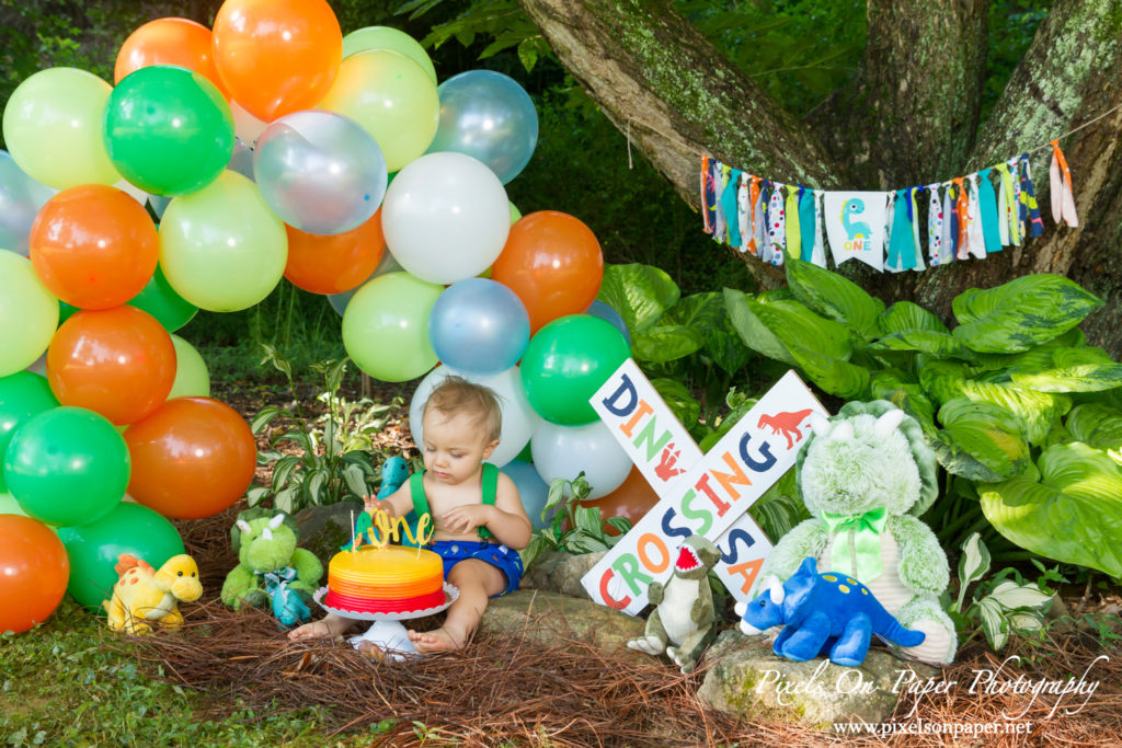 pixels on paper Wilkesboro NC photgraphers Becerra baby one year dinosaur cake smash outdoor portrait photo