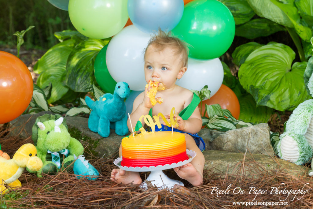 pixels on paper Wilkesboro NC photgraphers Becerra baby one year dinosaur cake smash outdoor portrait photo