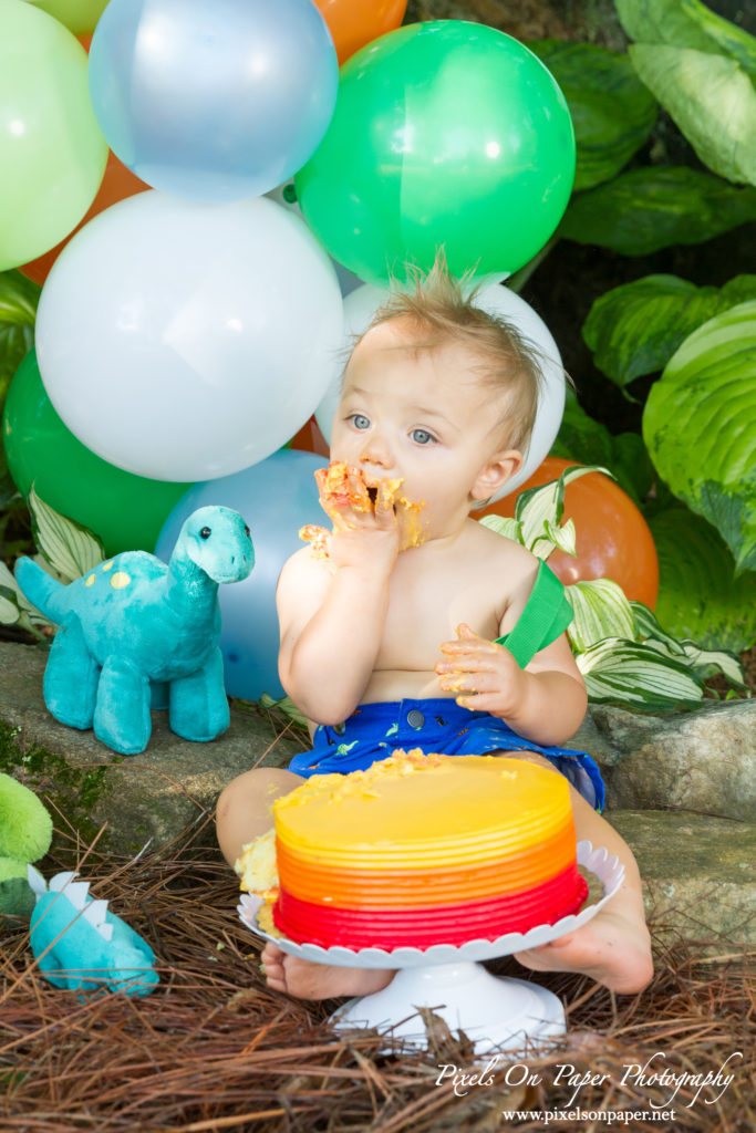 pixels on paper Wilkesboro NC photgraphers Becerra baby one year dinosaur cake smash outdoor portrait photo