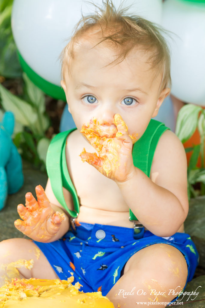 pixels on paper Wilkesboro NC photgraphers Becerra baby one year dinosaur cake smash outdoor portrait photo