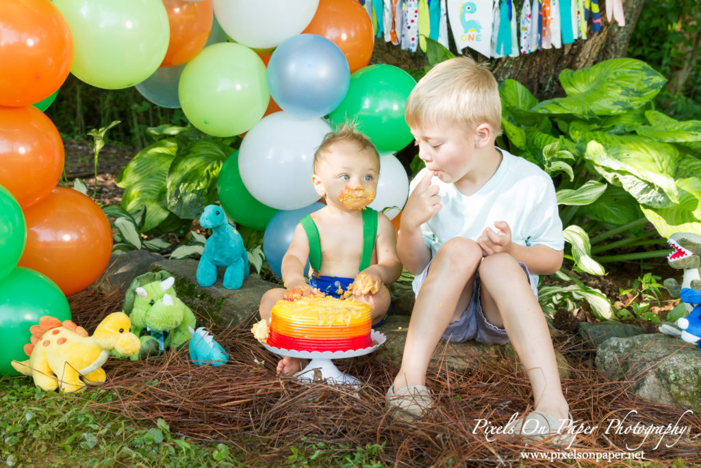 pixels on paper Wilkesboro NC photgraphers Becerra baby one year dinosaur cake smash outdoor portrait photo