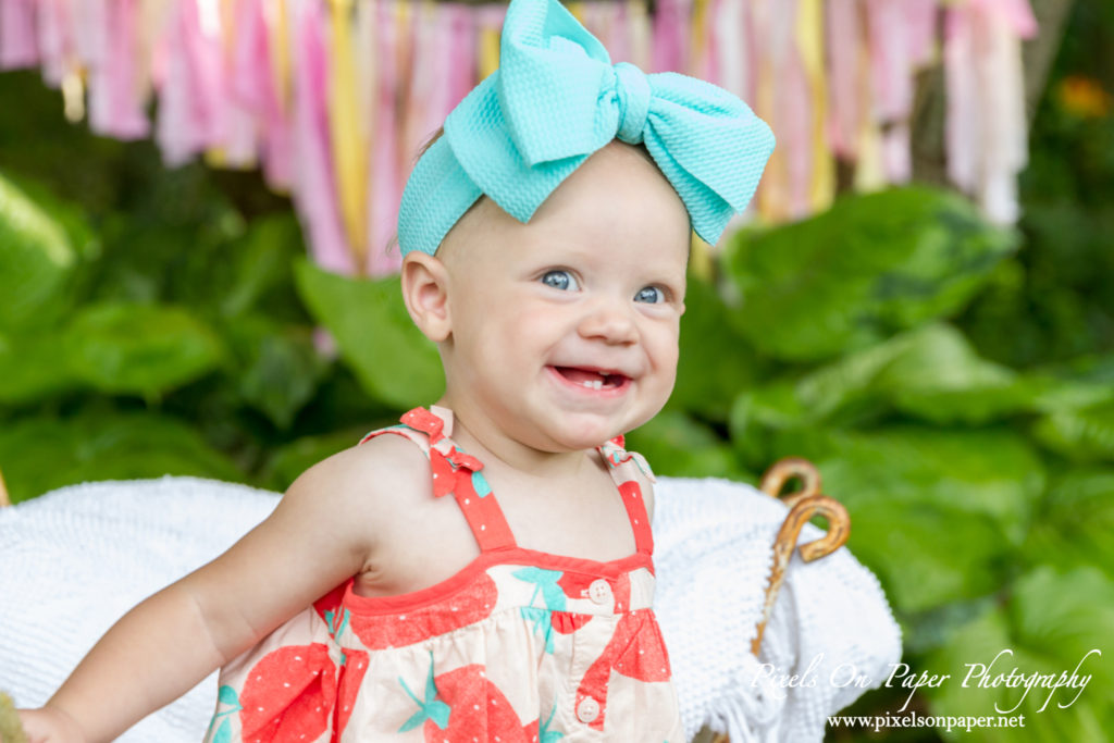 Pixels On Paper Wilkesboro NC photgraphers York baby one year cake smash outdoor portrait photo