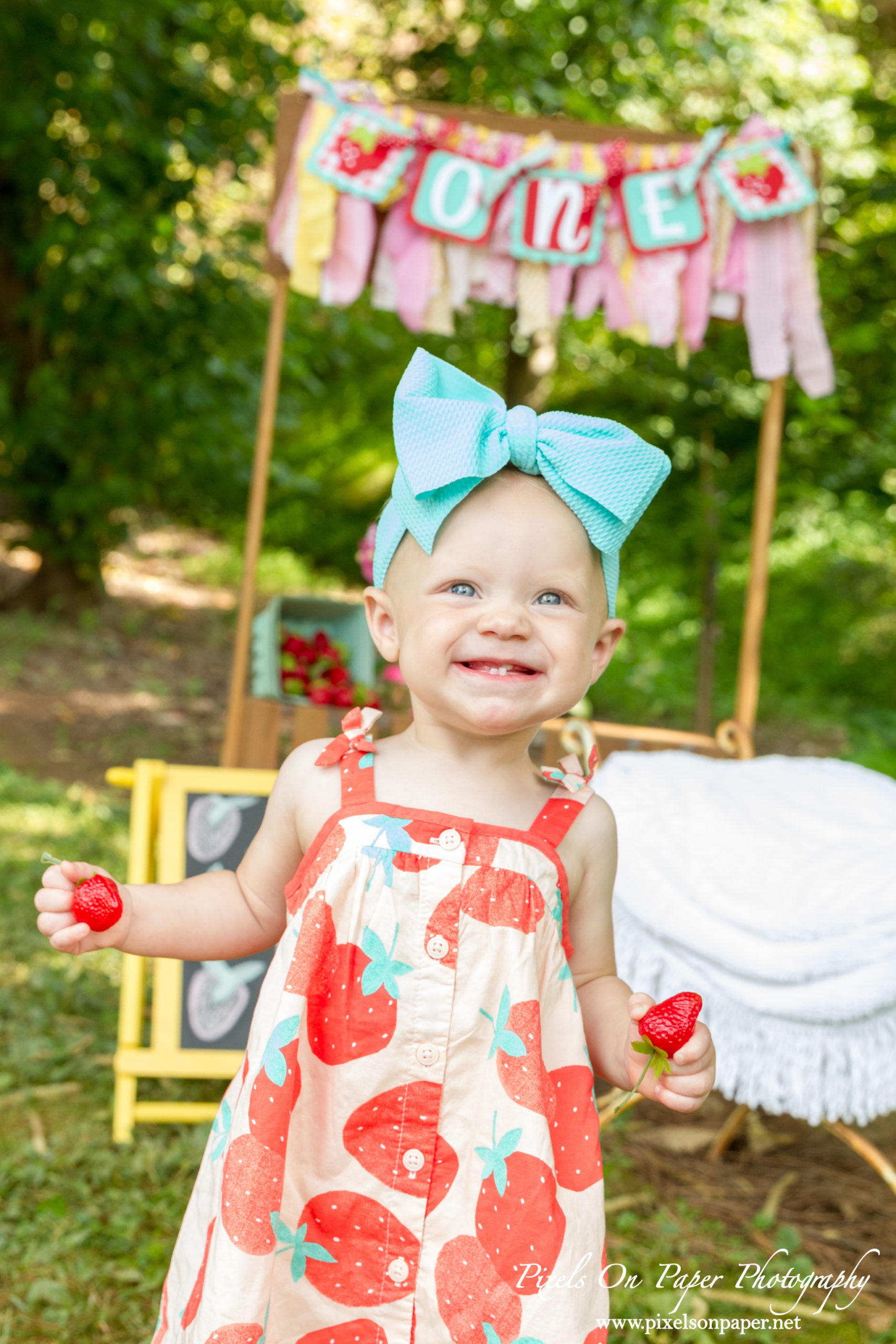 Pixels On Paper Wilkesboro NC photgraphers York baby one year cake smash outdoor portrait photo