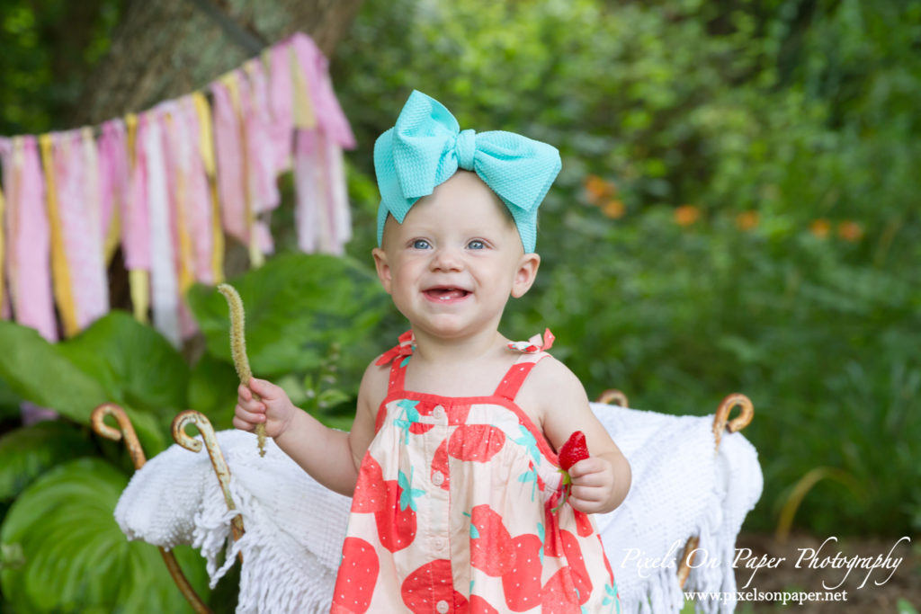 Pixels On Paper Wilkesboro NC photgraphers York baby one year cake smash outdoor portrait photo