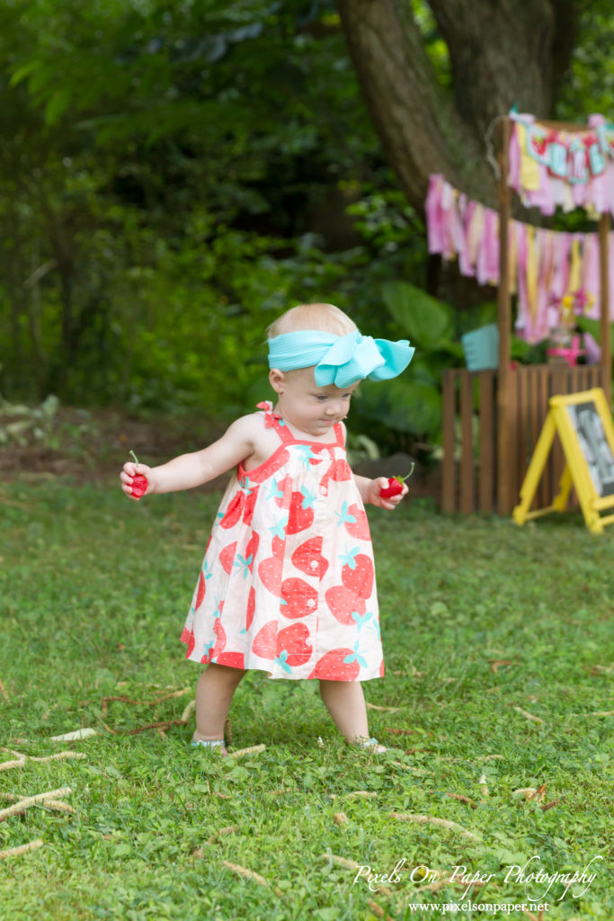 Pixels On Paper Wilkesboro NC photgraphers York baby one year cake smash outdoor portrait photo