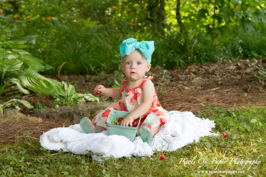 Pixels On Paper Wilkesboro NC photgraphers York baby one year cake smash outdoor portrait photo