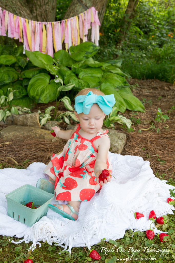 Pixels On Paper Wilkesboro NC photgraphers York baby one year cake smash outdoor portrait photo