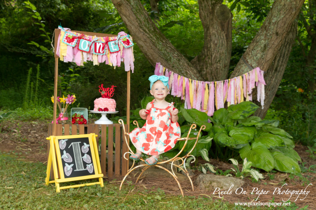 Pixels On Paper Wilkesboro NC photgraphers York baby one year cake smash outdoor portrait photo