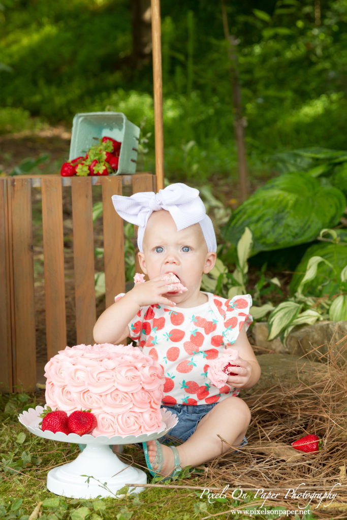 Pixels On Paper Wilkesboro NC photgraphers York baby one year cake smash outdoor portrait photo