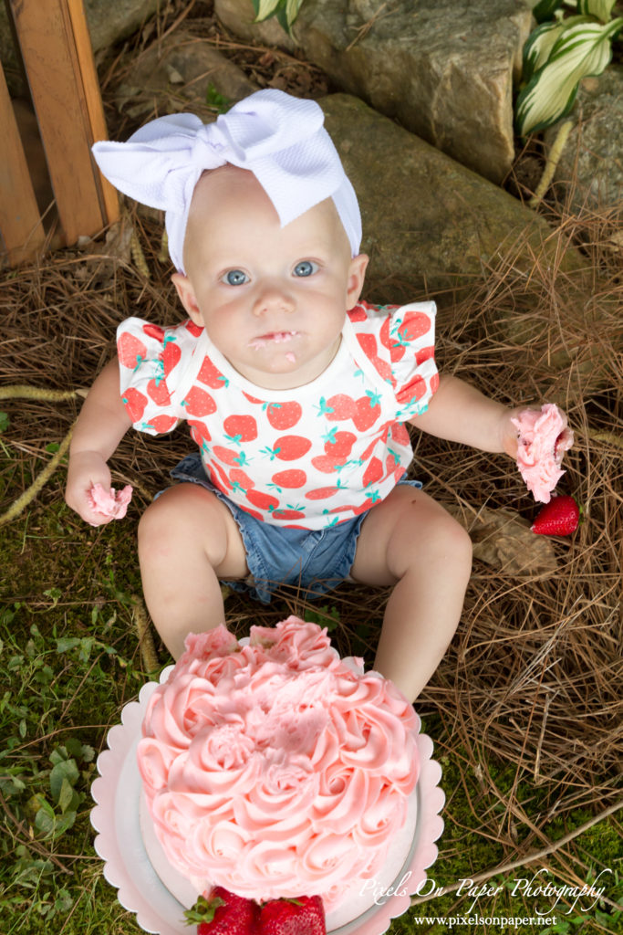 Pixels On Paper Wilkesboro NC photgraphers York baby one year cake smash outdoor portrait photo