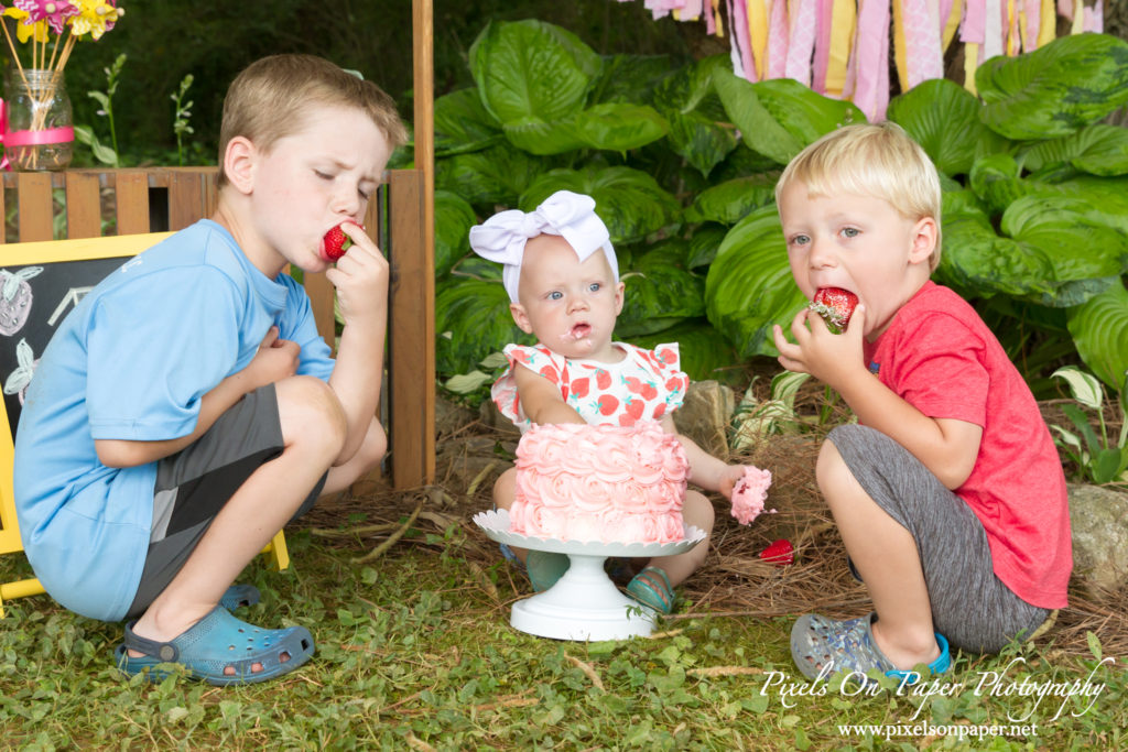 Pixels On Paper Wilkesboro NC photgraphers York baby one year cake smash outdoor portrait photo