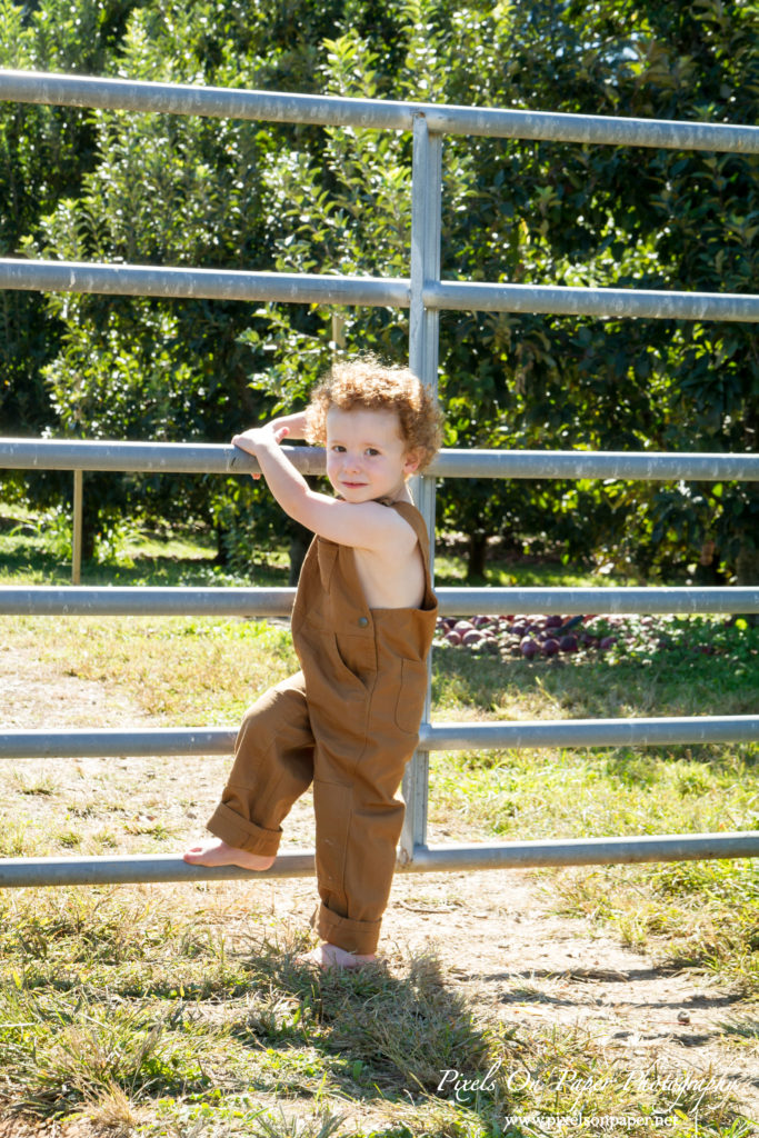 Pixels On Paper Outdoor Fall Family Portrait photographers photo