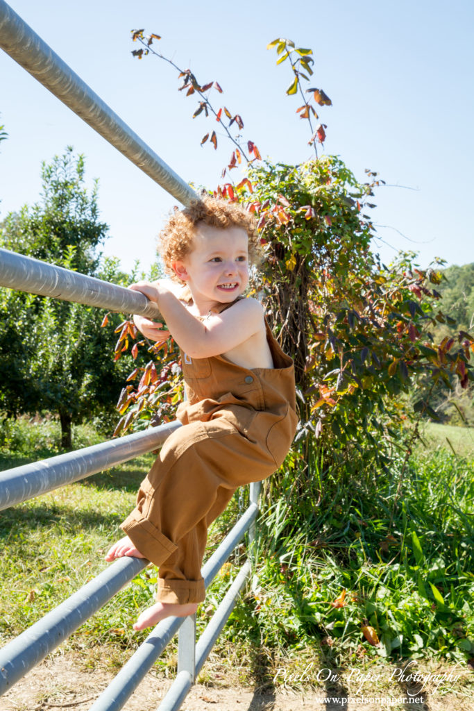 Pixels On Paper Outdoor Fall Family Portrait photographers photo