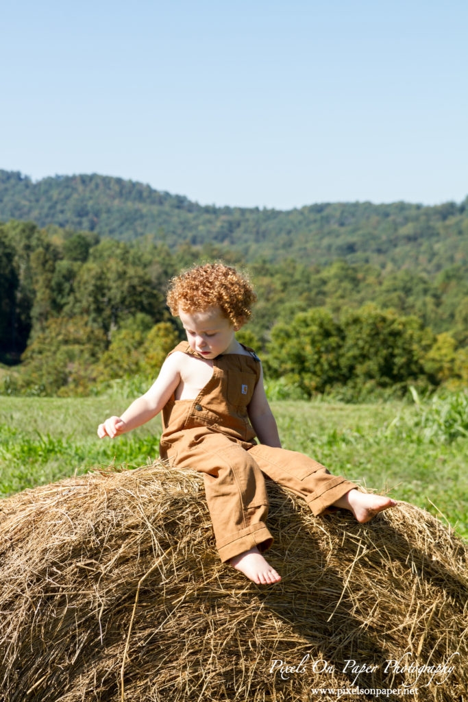 Pixels On Paper Outdoor Fall Family Portrait photographers photo