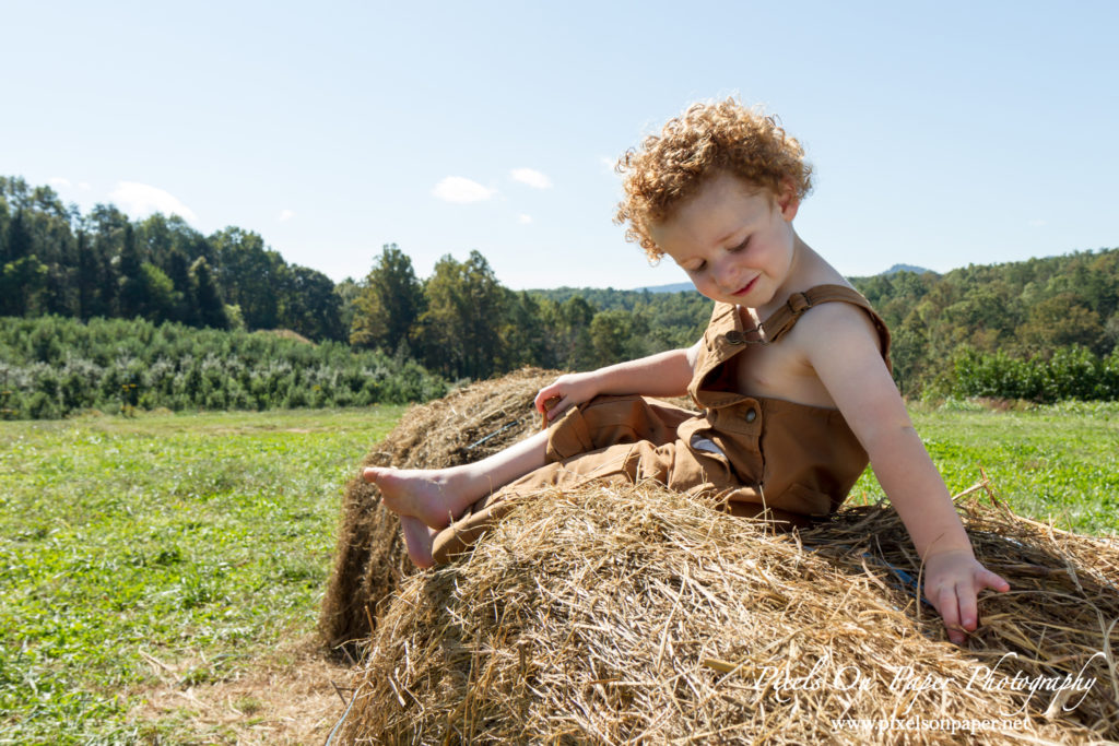 Pixels On Paper Outdoor Fall Family Portrait photographers photo