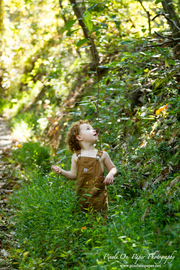 Pixels On Paper Outdoor Fall Family Portrait photographers photo