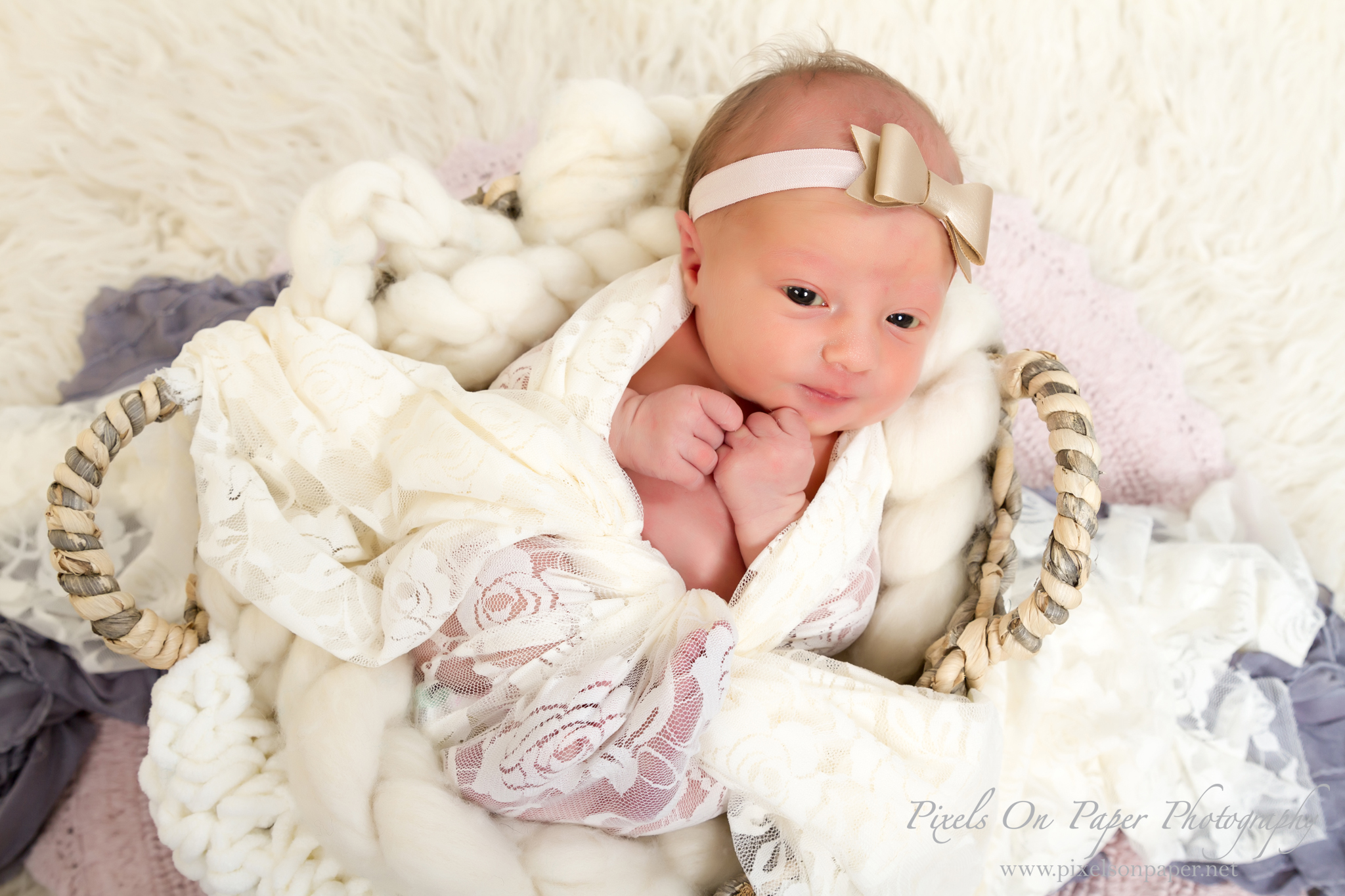 Triplett family newborn portraits wilkesboro nc photographers photo