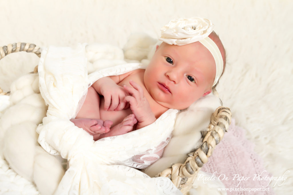 Triplett family newborn portraits wilkesboro nc photographers photo