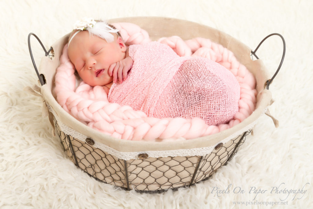 Triplett family newborn portraits wilkesboro nc photographers photo