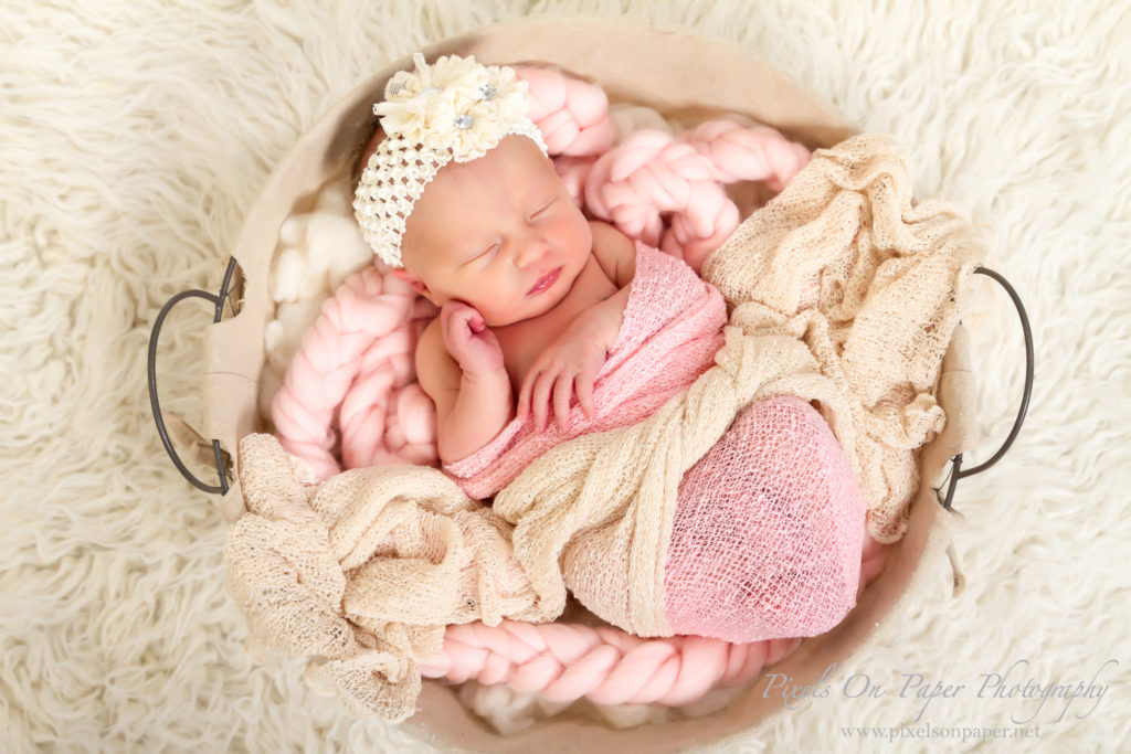 Triplett family newborn portraits wilkesboro nc photographers photo