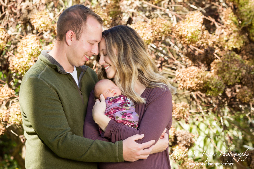 Triplett family newborn portraits wilkesboro nc photographers photo