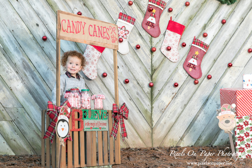 Pixels On Paper Photographers 2020 Outdoor Christmas Mini Session Wilkesboro NC Photo