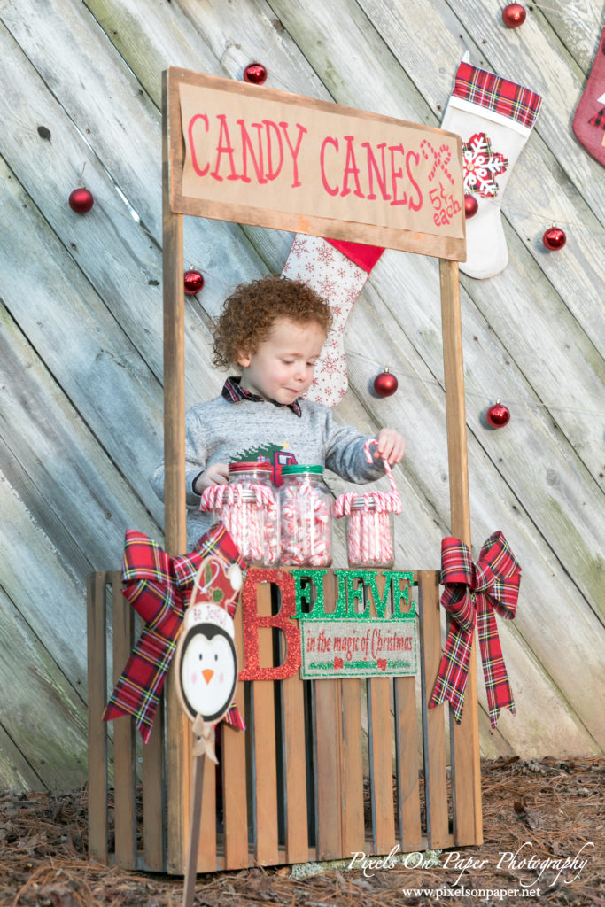 Pixels On Paper Photographers 2020 Outdoor Christmas Mini Session Wilkesboro NC Photo