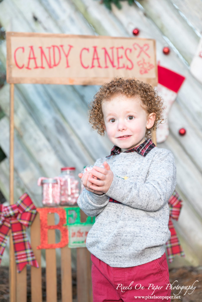 Pixels On Paper Photographers 2020 Outdoor Christmas Mini Session Wilkesboro NC Photo