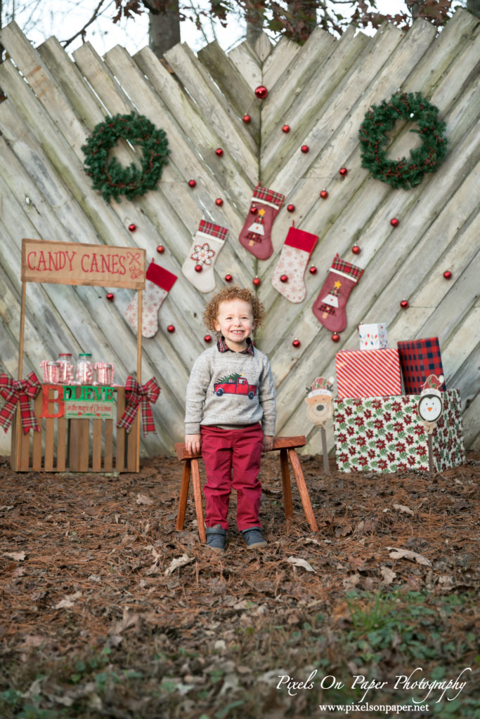 Pixels On Paper Photographers 2020 Outdoor Christmas Mini Session Wilkesboro NC Photo