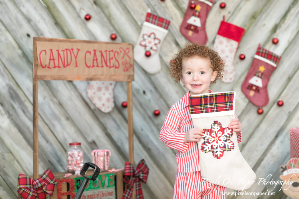 Pixels On Paper Photographers 2020 Outdoor Christmas Mini Session Wilkesboro NC Photo