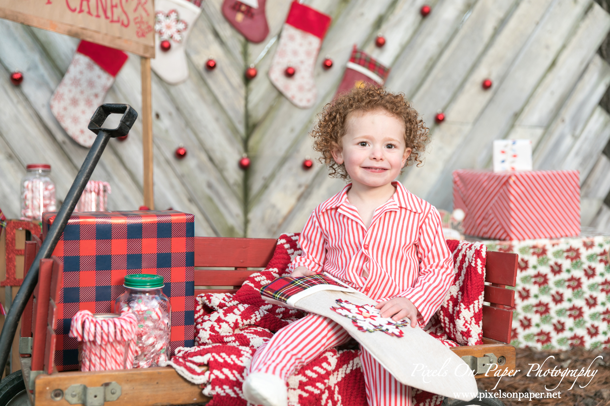 Pixels On Paper Photographers 2020 Outdoor Christmas Mini Session Wilkesboro NC Photo