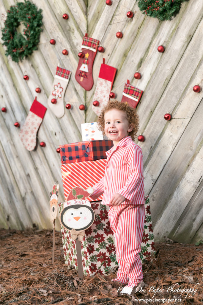 Pixels On Paper Photographers 2020 Outdoor Christmas Mini Session Wilkesboro NC Photo