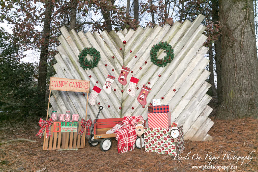 Pixels On Paper Photographers 2020 Outdoor Christmas Mini Session Wilkesboro NC Photo