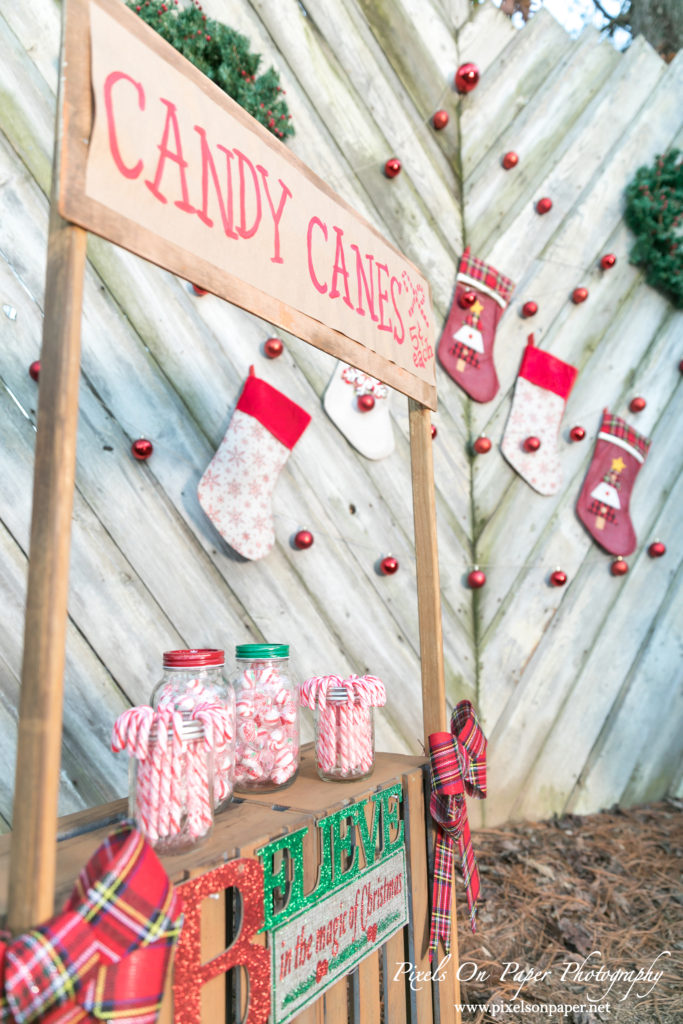 Pixels On Paper Photographers 2020 Outdoor Christmas Mini Session Wilkesboro NC Photo