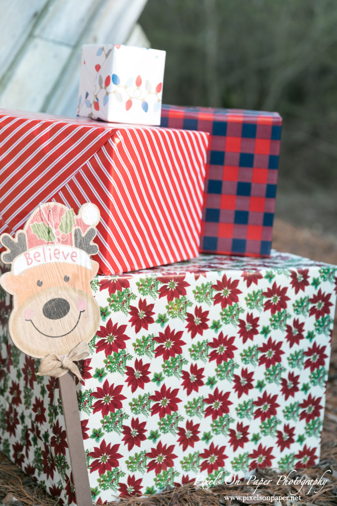 Pixels On Paper Photographers 2020 Outdoor Christmas Mini Session Wilkesboro NC Photo