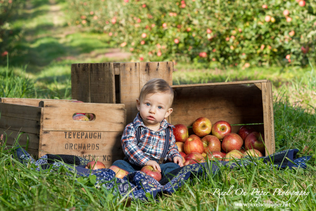 Pixels On Paper Photography Tevepaugh Six Month Apple Orchard Baby Portrait Photo