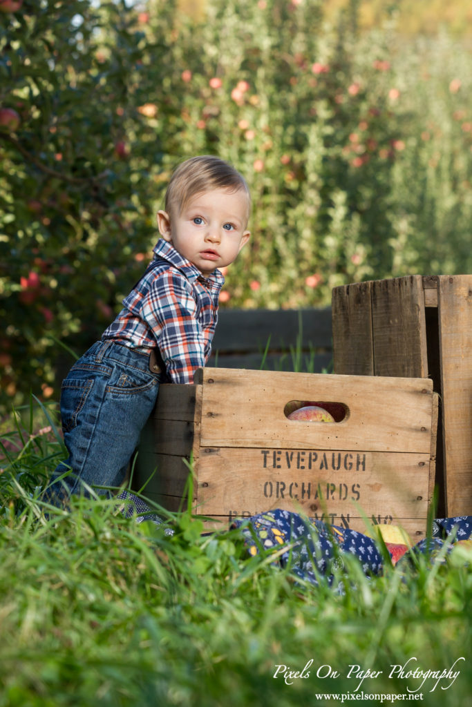 Pixels On Paper Photography Tevepaugh Six Month Apple Orchard Baby Portrait Photo